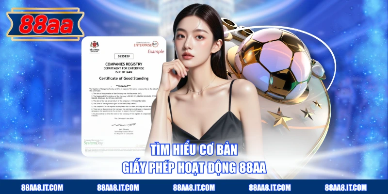 Tìm hiểu cơ bản giấy phép hoạt động 88AA
